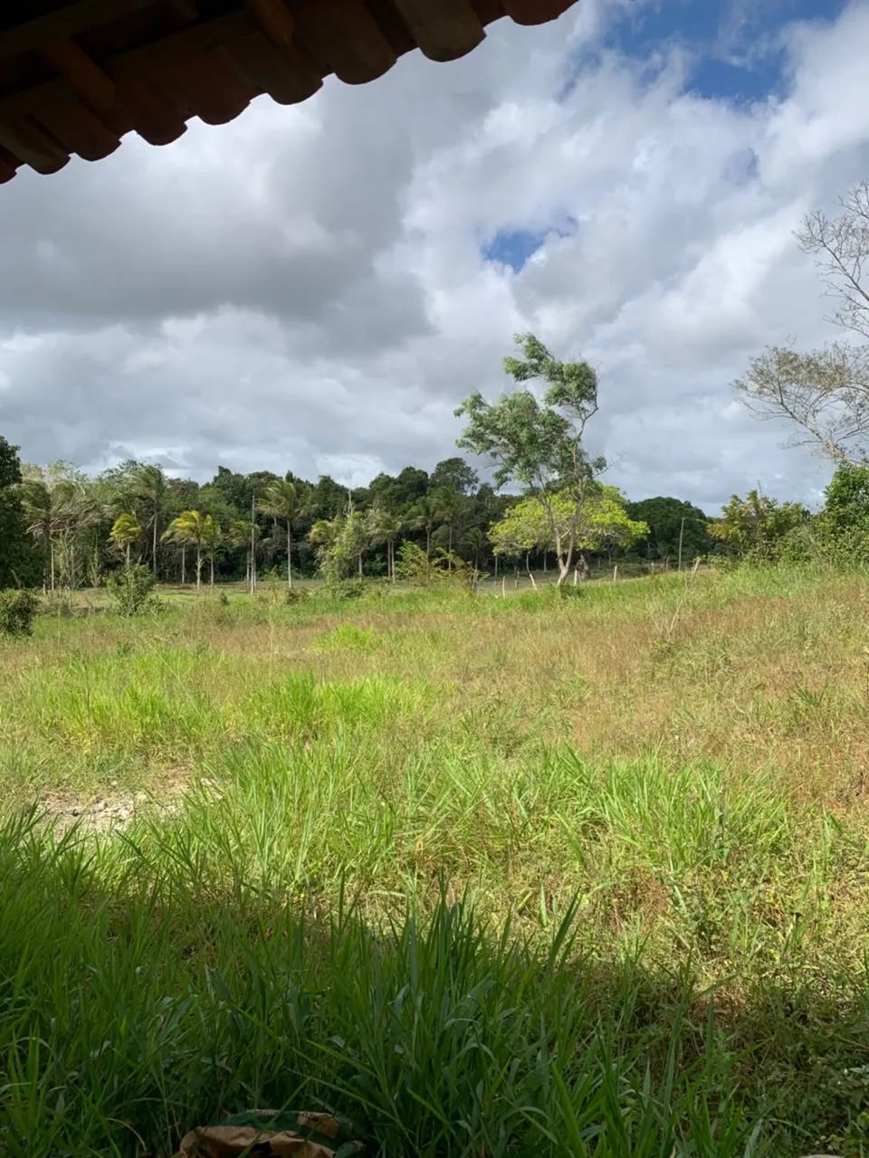 Sítio no Povoado Grotão / Salgado - Foto 3