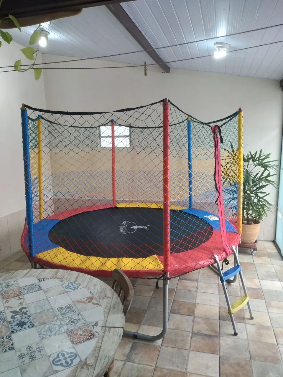 Pula pula Henry 2.44mts 