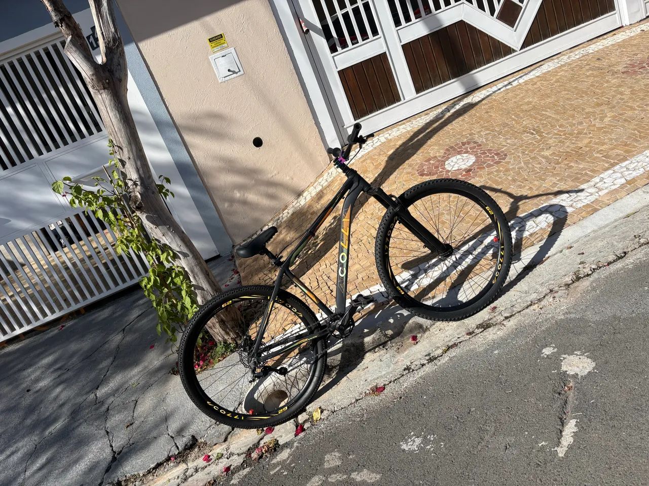 Bicicleta colli