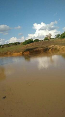 Fazenda em Ribeira do Pombal - Foto 13