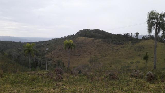 Fazenda com 663 alqueires em campo largo - Foto 3