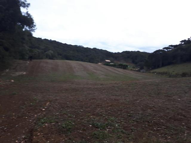 Chacara com 36.000m² juruqui - Foto 9