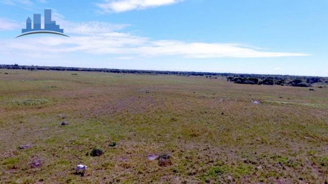 FAZENDA PARA GADO DE 14.950 HECTARES NA REGIÃO DE POCONÉ-MT - Foto 12