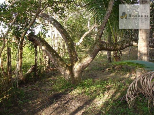 Chácara com 3 dormitórios à venda, 20000 m² por R$ 500.000,00 - Carne de Vaca - Goiana/PE - Foto 13