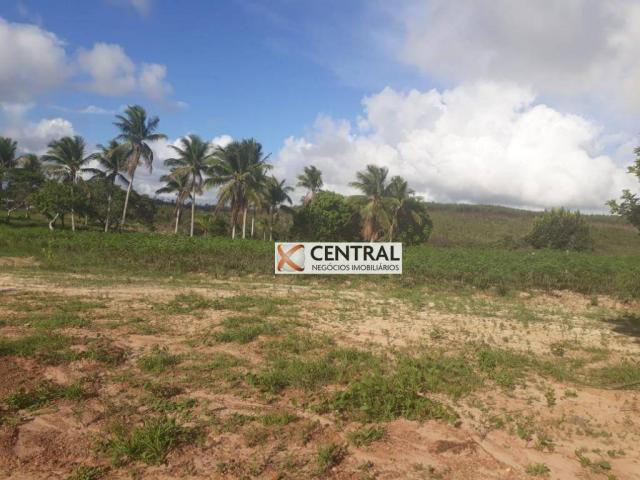 Fazenda à venda, 834268 m² por R$ 800.000,00 - Zona Rural - Mata de São João/BA - Foto 9