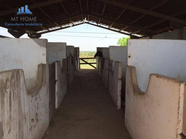 Sítio/Haras em Cuiabá com 50 baias para cavalos, 600 mts de rodovia