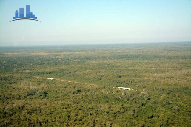 FAZENDA PARA GADO DE 14.950 HECTARES NA REGIÃO DE POCONÉ-MT - Foto 9