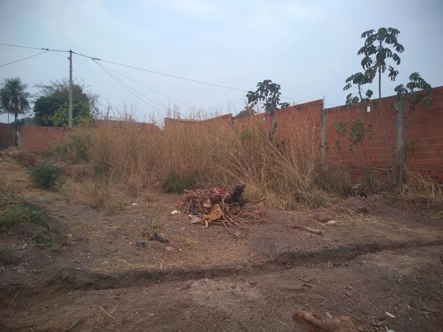 Vendo Terreno no Dr Fábio 2 - Foto 2