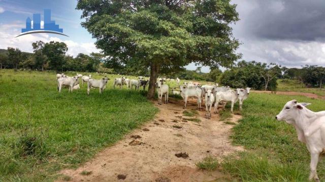 FAZENDA DE GADO DE CORTE COM 1.800 HECTARES EM BARRA DOS BUGRES - Foto 10