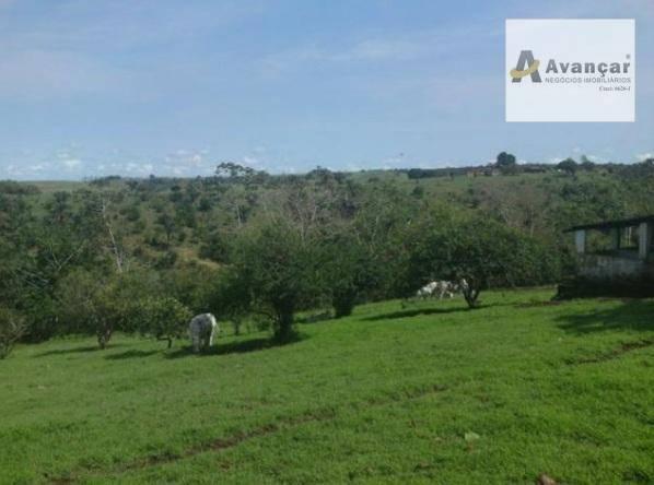 Fazenda à venda, Aldeia, Paudalho. - Foto 6