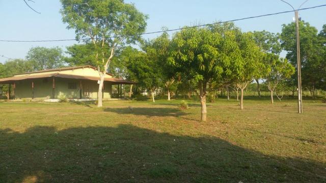 Sitio 120 hectares em Livramento