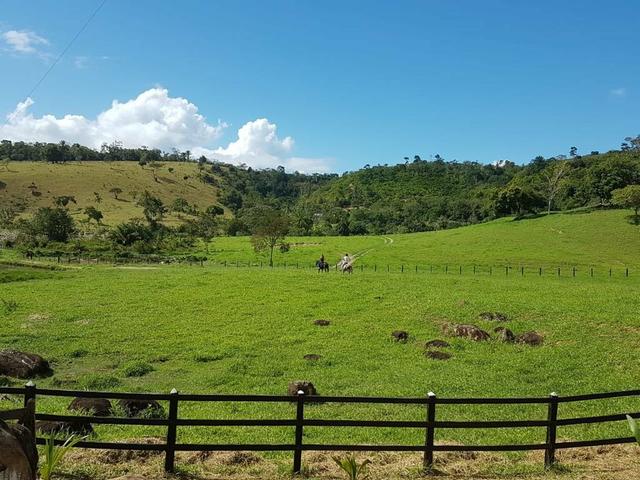 Vendo fazenda em Jiquiriçá ba - Foto 4