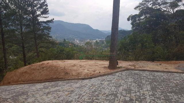 Terreno residencial à venda, Comary, Teresópolis - TE0225. - Foto 6
