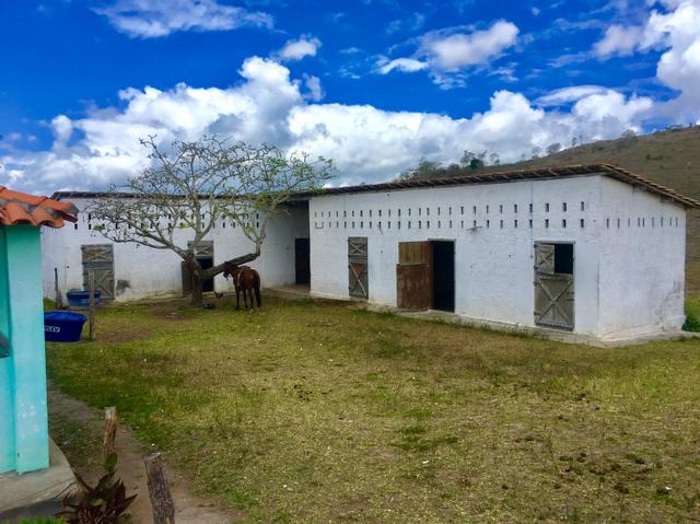 Fazenda em Boa Nova BAHIA com 167he - Foto 5
