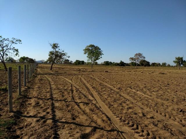 Fazenda Cocalinho MT - Foto 3