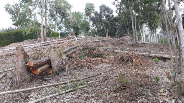 Terreno à venda, 1575 m² por R$ 150.000 - Fazenda Boa Fé - Teresópolis/RJ - Foto 4