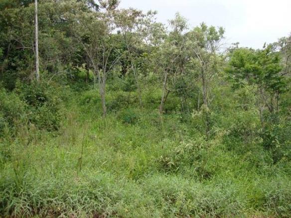 Terreno rural à venda, Vargem Grande, Teresópolis. - Foto 4
