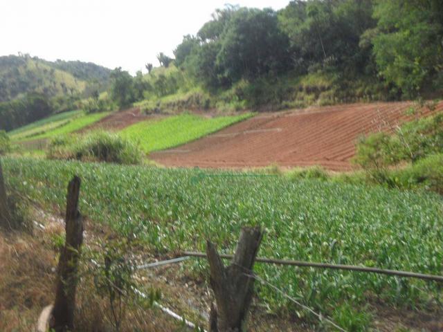 Sítio rural à venda, Venda Nova, Teresópolis. - Foto 14