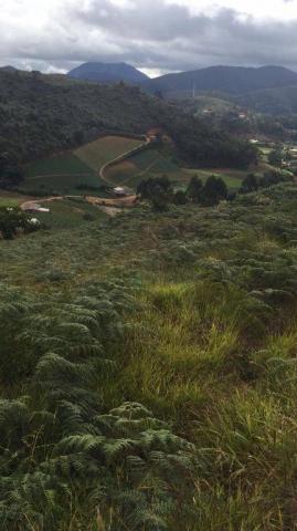 Terreno residencial à venda, Vieira, Teresópolis.