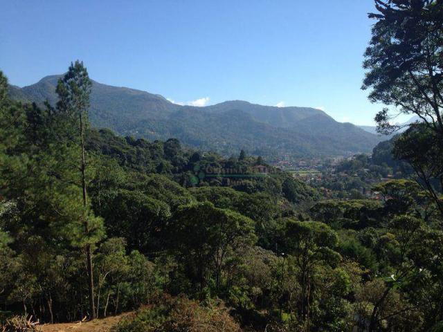 Terreno residencial à venda, Comary, Teresópolis - TE0225. - Foto 7