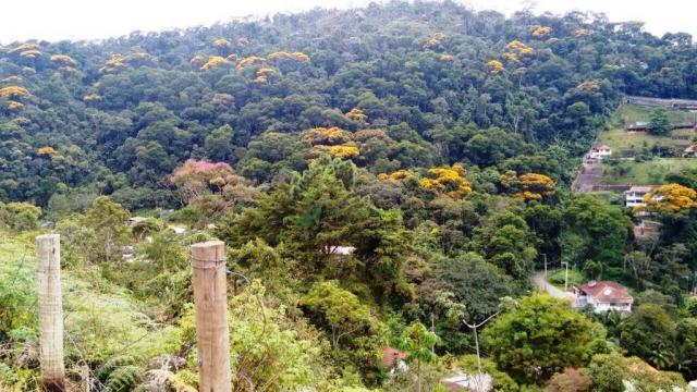 Terreno residencial à venda, Quinta da Barra, Teresópolis. - Foto 6