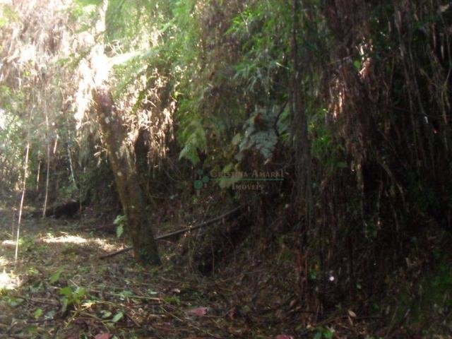 Terreno residencial à venda, Vargem Grande, Teresópolis. - Foto 9