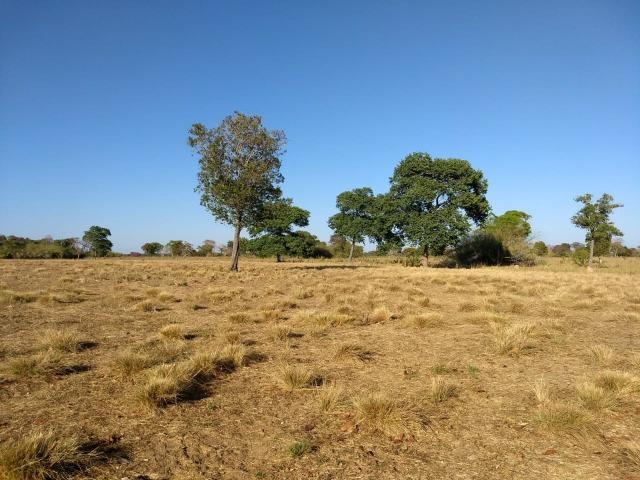 Fazenda Cocalinho MT - Foto 6