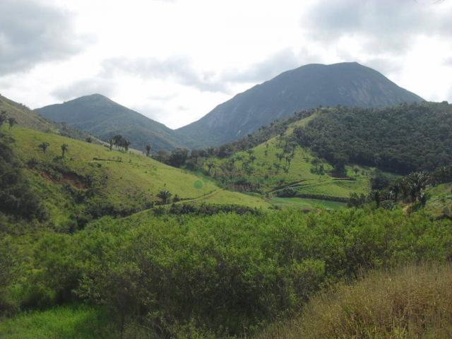 Sítio rural à venda, Venda Nova, Teresópolis. - Foto 20