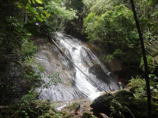 Sitio com 780.000 m² por R$ 1.150.000 - Ponte Nova - Teresópolis/RJ - Foto 18