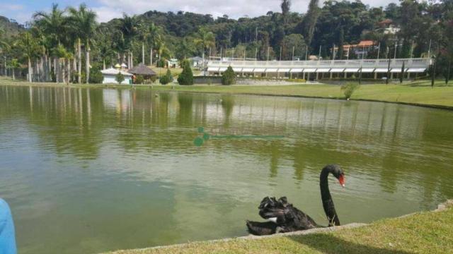 Terreno residencial à venda, Vargem Grande, Teresópolis. - Foto 14