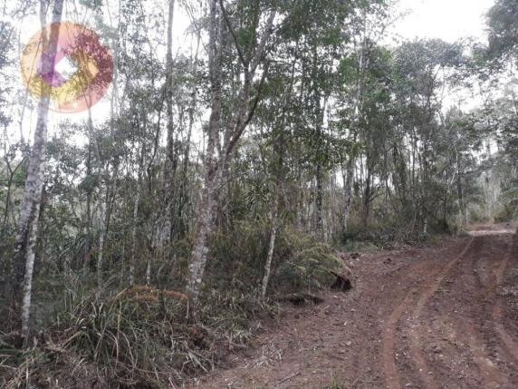 Chácara à venda, 23000 m² por R$ 180.000 - Palmerinha - Campina Grande do Sul/PR - Foto 3