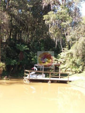 Chácara à venda, 10000 m² por R$ 650.000 - Zona Rural - Fazenda Rio Grande/PR - Foto 3