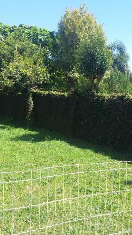 Casa mista com piscina Ijui RS - Foto 12
