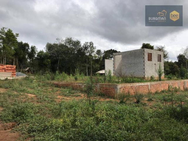Chácara à venda, proximo a Igreja do Rosário em Colombo - PR - Foto 13