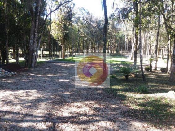 Chácara à venda, 10000 m² por R$ 650.000 - Zona Rural - Fazenda Rio Grande/PR - Foto 7