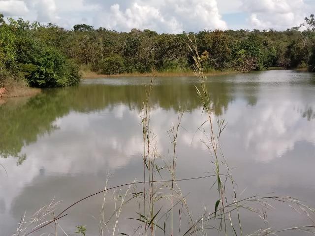 Fazenda com dupla aptidão em Rosário Oeste Mato Grosso - Foto 5