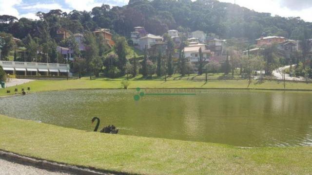 Terreno residencial à venda, Vargem Grande, Teresópolis. - Foto 20