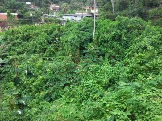 Terreno residencial à venda, Parque do Ingá, Teresópolis.