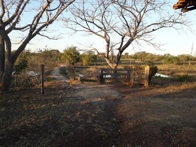 Sítio muito bom - Foto 10