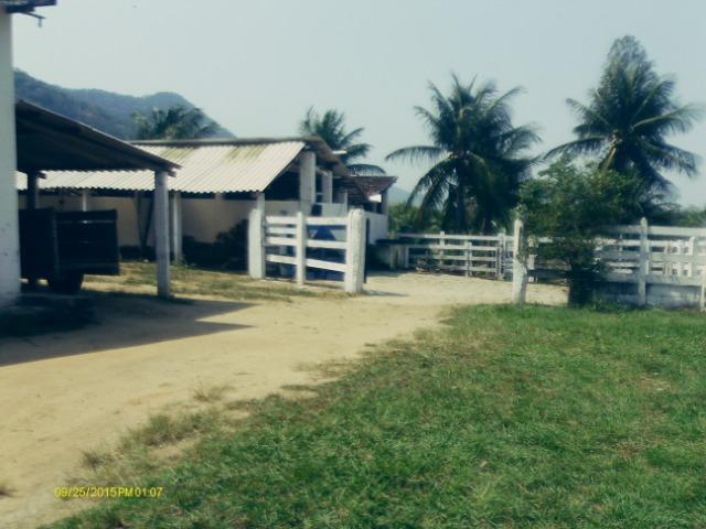 Linda fazenda com nascente própria em Jaconé, Maricá - Foto 13