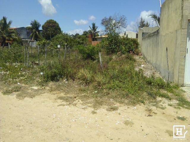 Lote à venda - mosqueiro (zona de expansão) - Foto 7