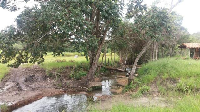 Fazenda em São João da Aliança - Foto 20
