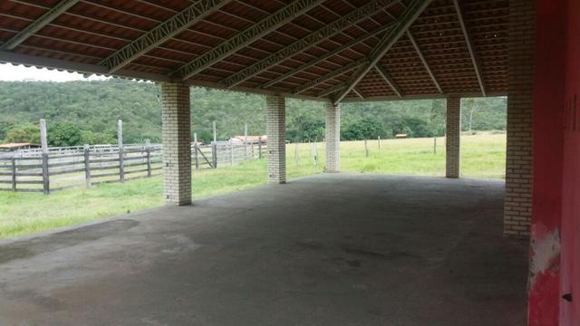 Fazenda em São João da Aliança - Foto 3