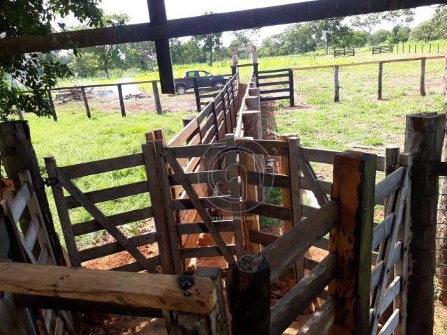 Fazenda 104 ha poconé mt - Foto 10