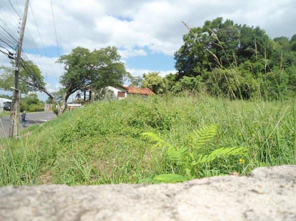 Terreno residencial à venda, rondônia, novo hamburgo. - Foto 2