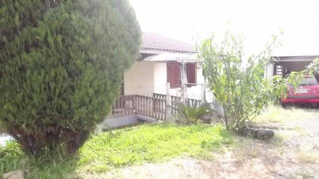 Terreno grande à venda, rondônia, novo hamburgo. - Foto 13
