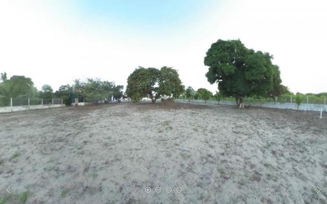 Chácara rural à venda, Taipu a cem metros da Br 406. - Foto 3