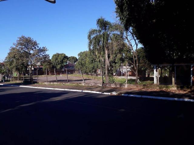 Terreno residencial à venda, canudos, novo hamburgo. - Foto 4
