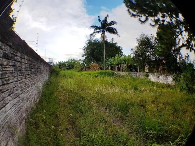 Terreno à venda, 420 m² por r$ 185.000,00 - são josé - novo hamburgo/rs - Foto 3