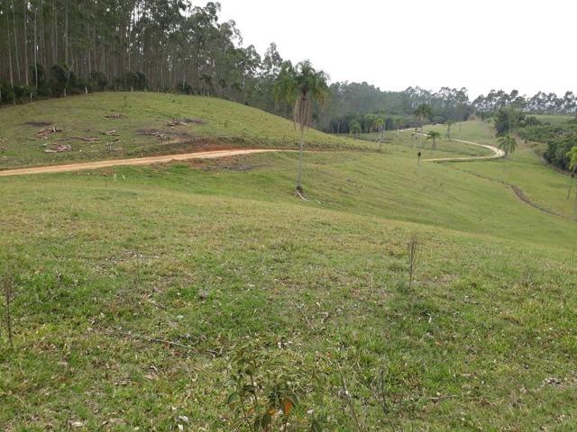 Linda área com 10 hectares a venda em Tijucas SC!!!